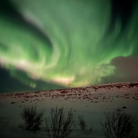 Leilighet I Vadsø エクステリア 写真